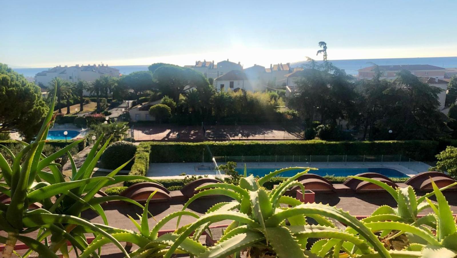 Secured Parc Velusine With Private Parking, Terrace, Pools And Tennis Courts. * Antibes